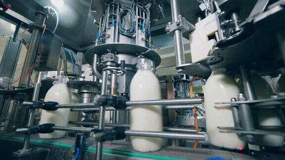 装着牛奶的瓶子在工厂的生产线上移动