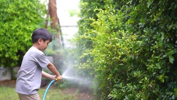 孩子在家给树浇水生态环境概念