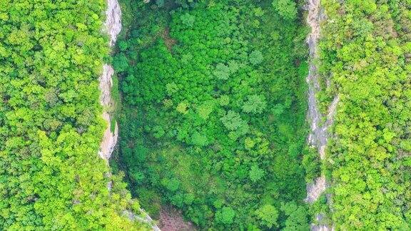 地面下沉在原始森林中形成了一个巨大的天坑