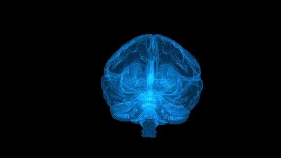 人的大脑在粒子形态中重复运动