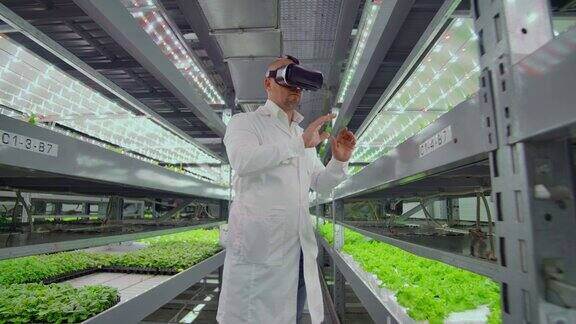 垂直水培种植园的一名穿着白大褂的男子采用虚拟现实技术模拟操作界面