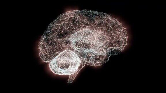 带有黑色背景神经元的未来人脑核磁共振扫描