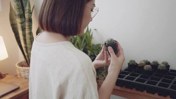 一名年轻女子正在整理仙人掌花盆