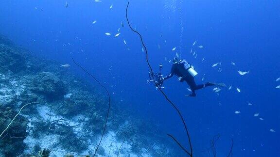 专业潜水员水下摄影师在库拉索岛附近的加勒比海珊瑚礁拍摄