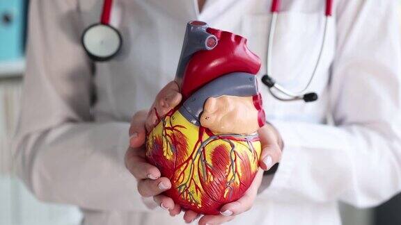 医生手持人工心脏模型在诊所特写4k电影慢动作