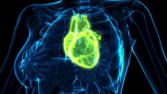医学3D动画人类心脏问题x光图像