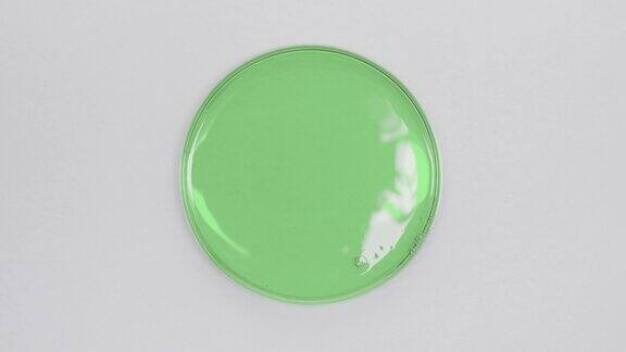 大特写绿色油在皮氏培养皿在灰色背景