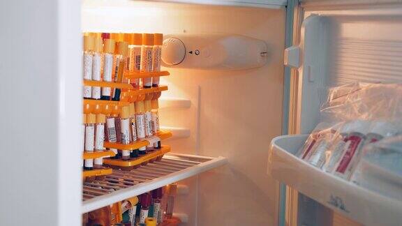 带样品的试管储存在冰箱中