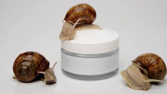 三只蜗牛在一罐化妆霜上在浅灰色的背景上爬行近距离观察