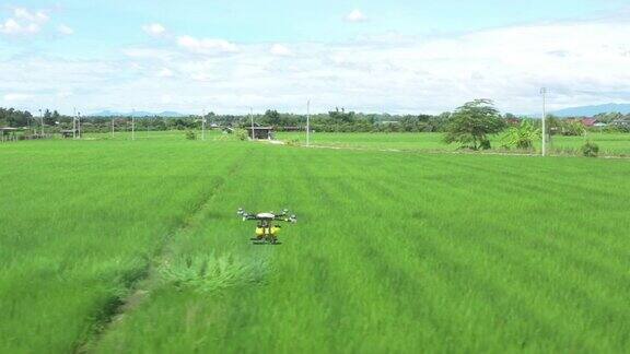 农业无人机技术用于农民远程向稻田和农田喷洒化学品或水的AI机器人