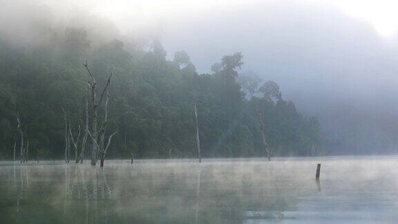 泰国考索国家公园