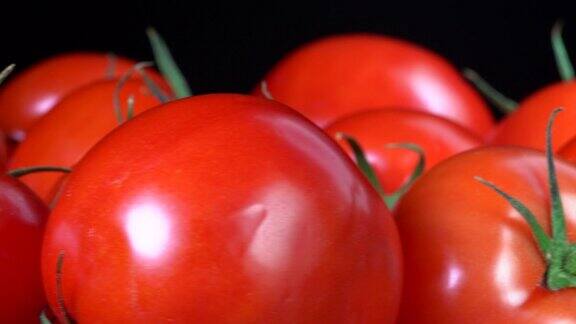 西红柿、影棚拍摄