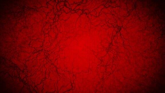 人体血管的三维循环动画毛细血管红色背景上的眼血解剖背景医学概念