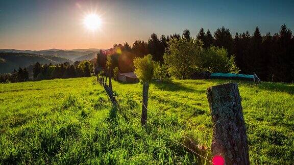 鹤:日出时的乡村景观-德国