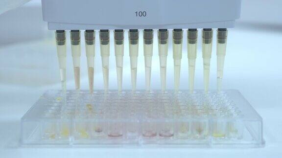 用多通道自动移液器从微孔板上收集样品用于酶联免疫吸附试验或免疫分析
