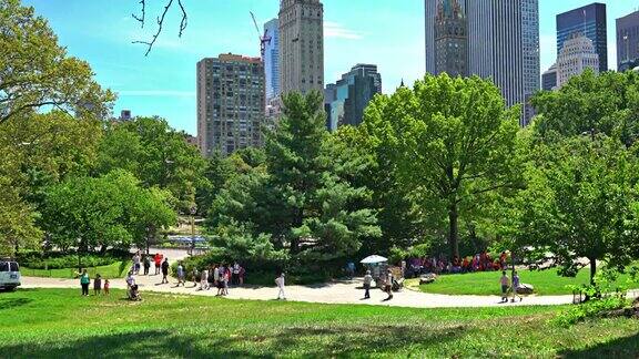 夏天的中央公园纽约