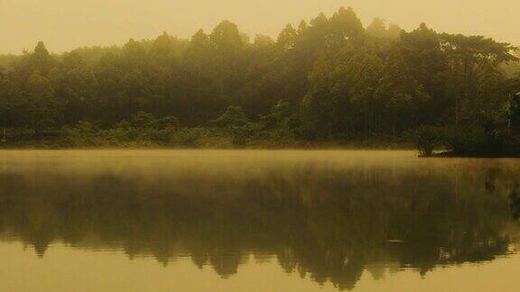 湖上雾