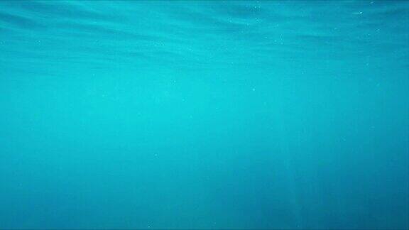 水下背景-4K分辨率