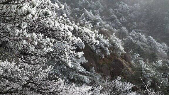 黄山在冬天中国