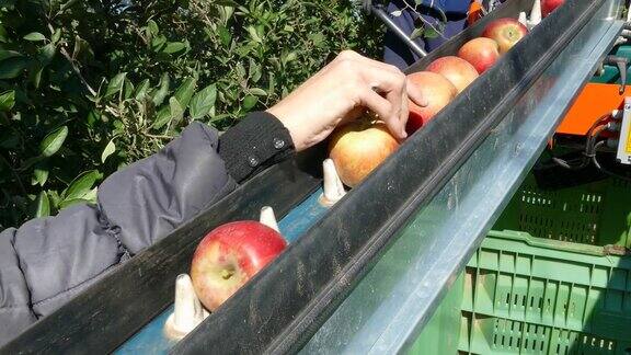 苹果采摘机与农场工人在果园