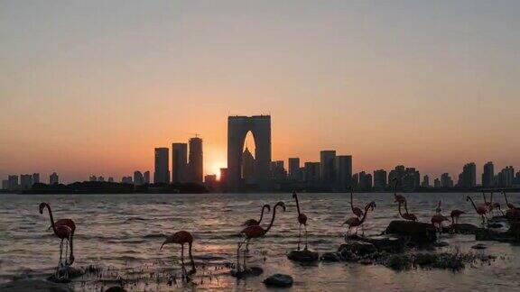 时光流逝金鸡湖夕阳