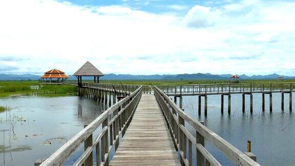 宁静的湖面上的木桥风景