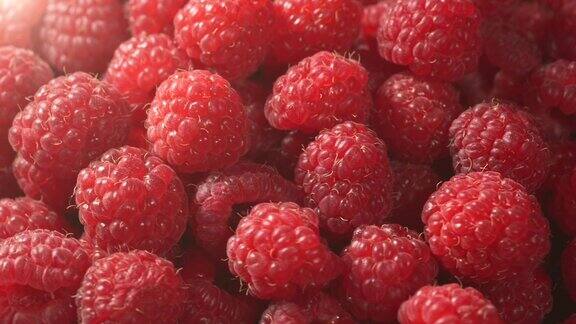 新鲜的红覆盆子水果作为有机和维生素的食物背景近距离观看