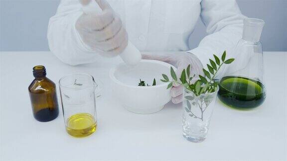 实验室助手在碗中研磨天然植物叶子精油