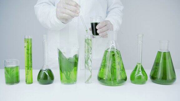 实验室技术员将一种绿色试剂添加到装有植物和藻类的试管和烧瓶中