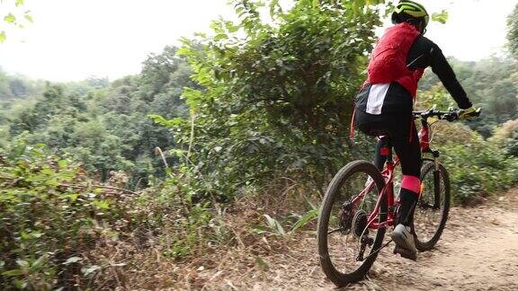 山地自行车手在森林小径上骑行慢镜头