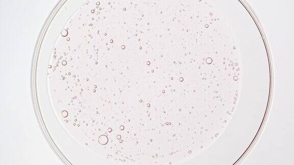 透明的化妆品粉色凝胶液与分子气泡油在培养皿中扩散天然有机化妆品医药的宏观镜头生产特写慢动作