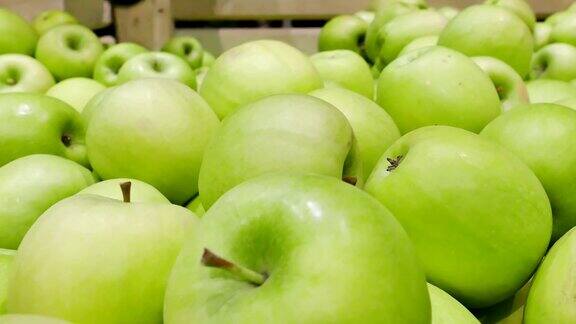 水果种植业与青苹果精选