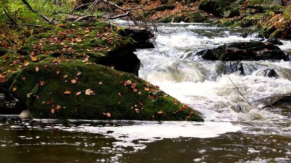 野河都布拉瓦在秋天的色彩风景如画