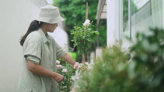 年轻女子在自家花园外种植玫瑰