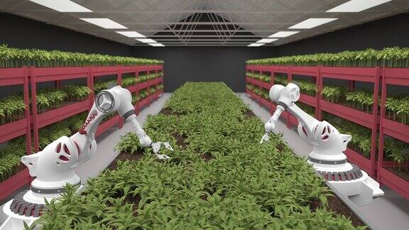 现代有机农场与机械臂-三维渲染种植未来的蔬菜
