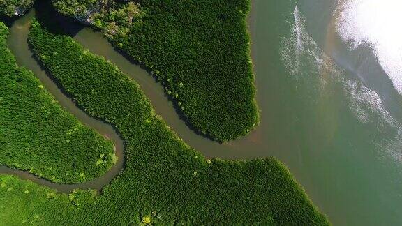 红树林清澈的水风景森林在甲米国家公园泰国无人机俯视图