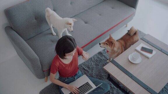 亚洲妇女和狗在家里穿着红衬衫
