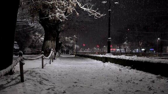 冬天的时候树木被雪覆盖的城市人行道