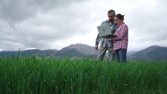 智能农业农民检查小麦作物本空间