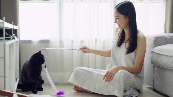 4K年轻的亚洲女子在客厅和黑猫玩耍