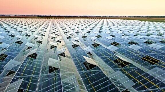 农村的大型玻璃温室