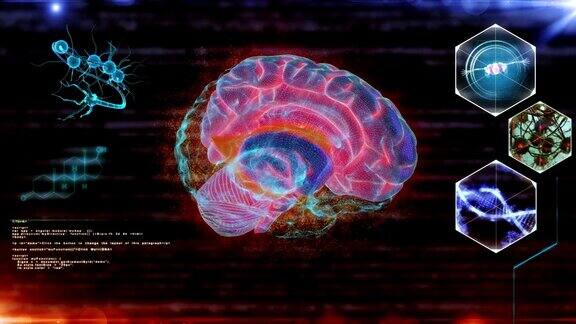 人脑神经元扫描