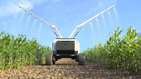 农业机器人在智能农场工作机器人在玉米地里施肥智能农业耕作概念