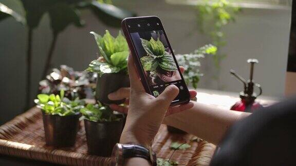 一名年轻女子正在用智能手机给室内花园的植物拍照