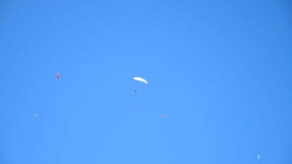 夏日阳光明媚几架滑翔伞在湛蓝的天空中翱翔不认识的人乘坐降落伞在气流中飞行享受早晨的自由主动极限运动