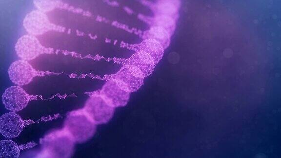 旋转丛DNA链-紫色版本