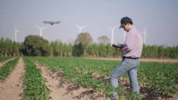 农民使用无人机在农民智能农场