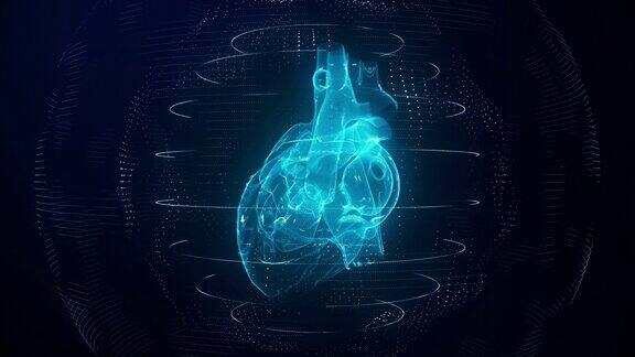 解剖正确的蓝色数字人心脏无缝环心脏扫描