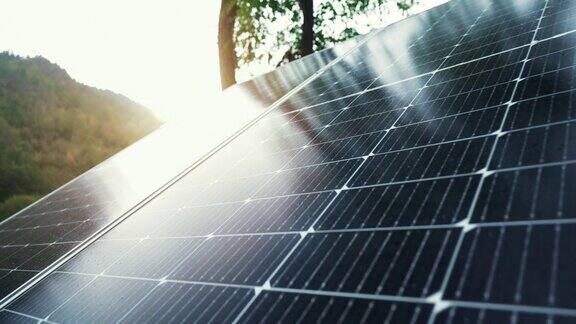 自然界中的光伏太阳能电池板