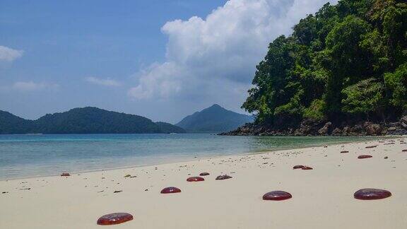 时光流逝:缅甸NyaungOoPhee岛海滩上的水母